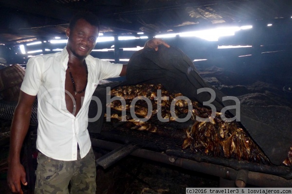 nigeriano ahumando pescado
Nigeriano Ahumando pescado
