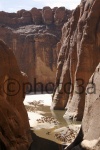Guelta de Archei- Ennedi
Guelta, Archei, Ennedi, Vista