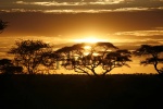 atardecer en Serengueti
Serengueti, Puesta, atardecer