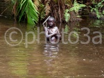 pigmeo bañandose en el rio Reserva de Djan
Reserva, Djan, Pigmeo, Resera, pigmeo, bañandose