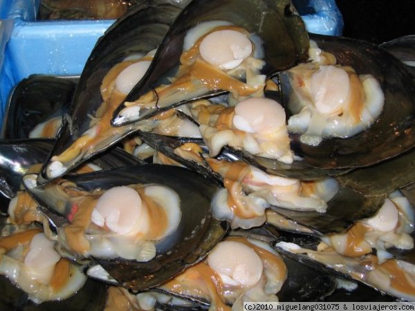 Mejillones gigantes
Vaya mejillones más grandotes que había en Tsukiji
