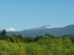 Lanín y Quetrupillán