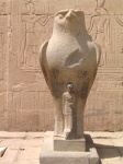 Horus
Horus