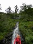 cascada del camino
Cascada, cascada, camino