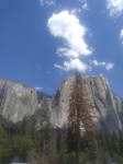 yosemite3