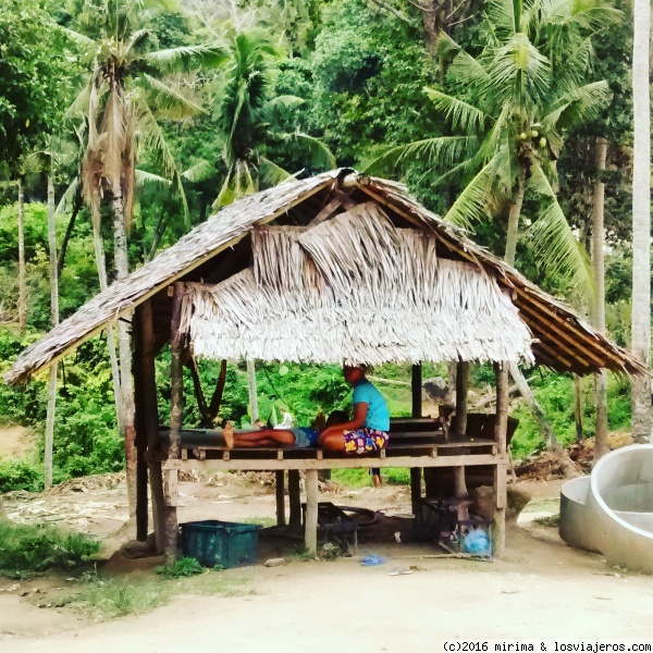 Koh Phangan
Zona interior (jungla) de la isla de Koh Phangan.
