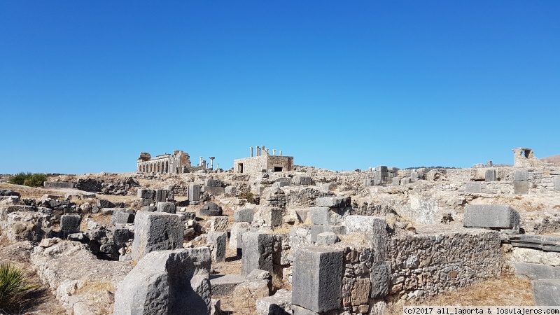 Sábado 16 de septiembre - Chefchouen - Volubilis - Fez - Marruecos durante 13 días, con la agencia -Viajes Marruecos 4x4- (Sept. 2017) (2)