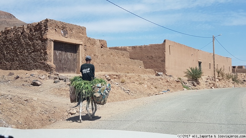 Marruecos durante 13 días, con la agencia -Viajes Marruecos 4x4- (Sept. 2017) - Blogs de Marruecos - Jueves 21 de septiembre - Ante Atlas - Valle del Draa - Zagora (ciudad) (3)