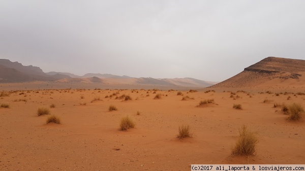 Desierto
Desierto
