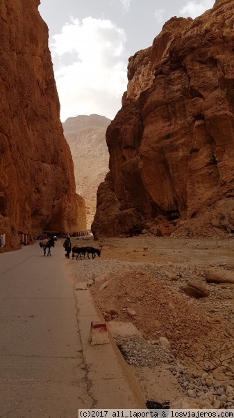 Garganta del Todra, con un bereber llevando a los burros
Garganta del Todra, con un bereber llevando a los burros
