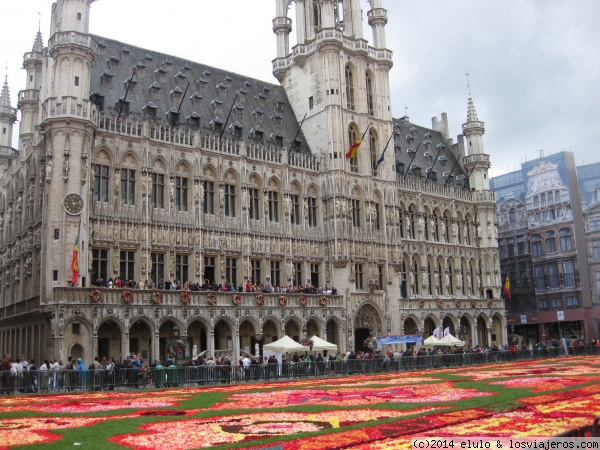 La Grand Place
La Grand Place de Bruselas con la alfombra de flores
