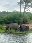 Parque nacional de chobe