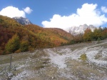 bosque en el camino a Piramida