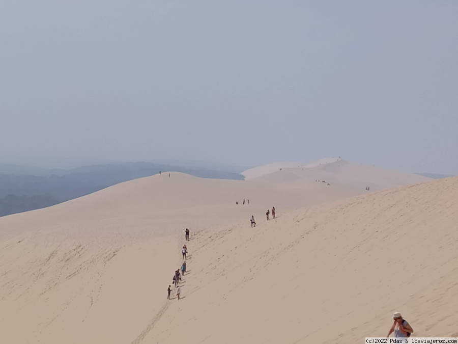 Burdeos y alrededores en 4 días - Blogs de Francia - Arcachon (3)