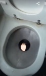 Captura de video cuando tiras de la cadena en WC tren polaco
