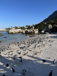 BOULDERS BEACH