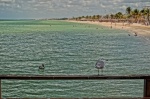 PLAYA PROGRESO,YUCATÁN