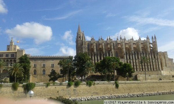 mallorca catedral
mallorca catedral
