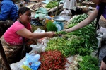 Vendedora Verduras
Vendedora, Verduras, Laos, esencia, chile, picante, hierbas, aromáticas