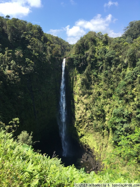 ´Akaka falls.Hawaii
´Akaka falls
