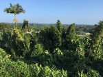 Vista desde la puerta de 