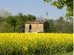 casita entre un campo de flores cerca de florencia