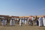 Mercado de camellos. Al Ain.