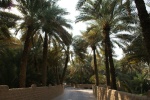 Oasis de Al Ain (Emiratos Arabes Unidos)