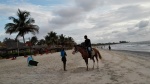 playas de gambia
playa gambia