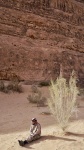 Wadi Rum
Wadi, desert