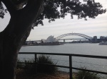 Opera House desde Mrs Macquarie's Chair