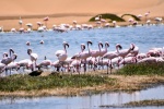 Bird Sanctuary en Walvis bay