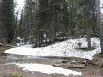 Área de pícnic en Sylvan pass