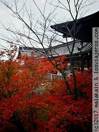 Kiyumizu-dera
Kiyumizu-dera
