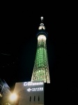 Tokio Sky Tree
Tokio, Tree