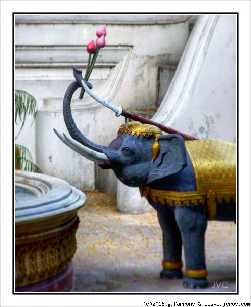 elefante en el templo
Elefante en el Templo de Wat Chana Songkhram Rachawora Mahawiharn , en la zona de Kao San.
