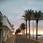 calle junto al mar
paseo playa palmeras casas arquitectura