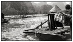 barcas, barcas taxi, Vietnam
paseo, barcas, barcas taxi, Vietnam- blanco y negro