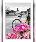 Flores y bicicleta