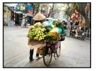 Mujer vendedora - Hanoi
Mujer vendiendo verduras, por las calles de Hanoi en Vietnam
