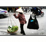 Mujer vendedora - Hanoi
Vendedora, hanoi, vietnam