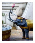 elefante en el templo
elefante buda templo bangkok ofrendas religion