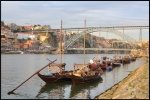 Ravelos en el Douro (Porto)