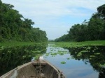 La Selva de los Espejos...