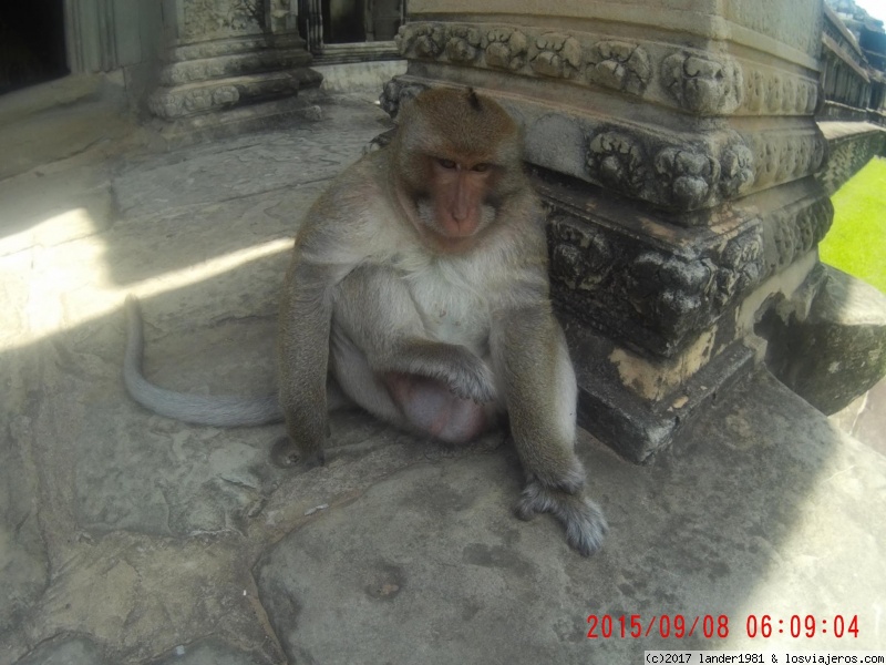 Tailandia y un poco de Camboya 2015 - Blogs de Tailandia - Me voy a Camboya (4)