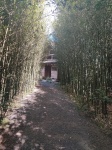 jardín japonés en jardín botánico de Lankester