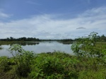 vista de una de las lagunas del parque nacional de Caño negro