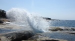 Bicheno Blowhole