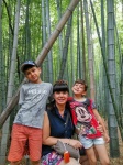 Bosque de Bambu