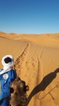 Sigue el camino
marruecos, desierto, camello, sahara, merzouga